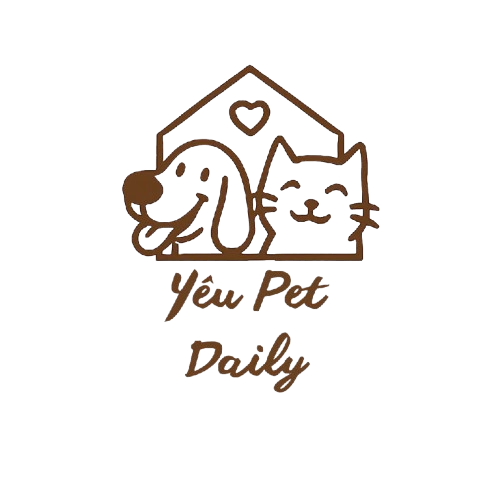 Yêu Pet Daily